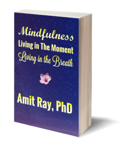 Mindfulness : Living in the Moment - Living in the Breath