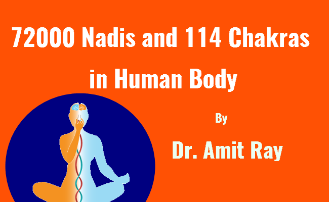 72000 Nadis and 114 Chakras in Human Body