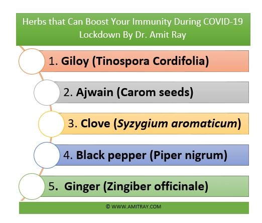 Herbs That Can Boost Your Immunity against COVID-19