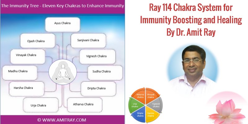 Amit Ray 114 Chakra System for Immunity Boosting and Healing