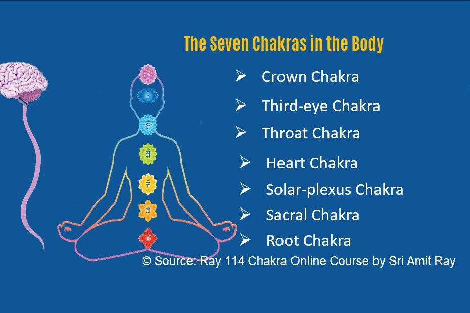 Seven Chakras in human body Amit Ray Teachings