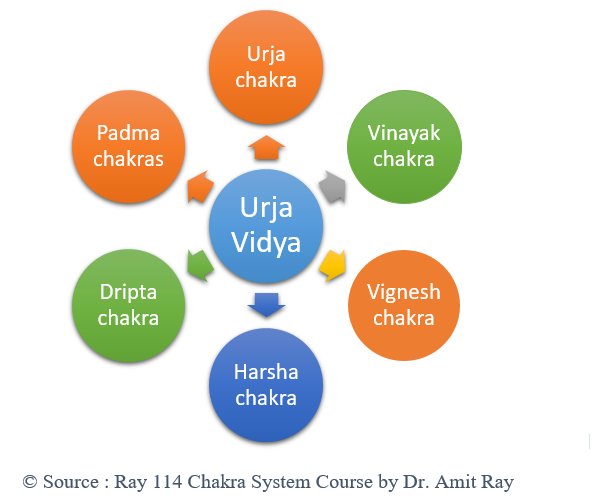 Urja Vidya Amit Ray Teachings