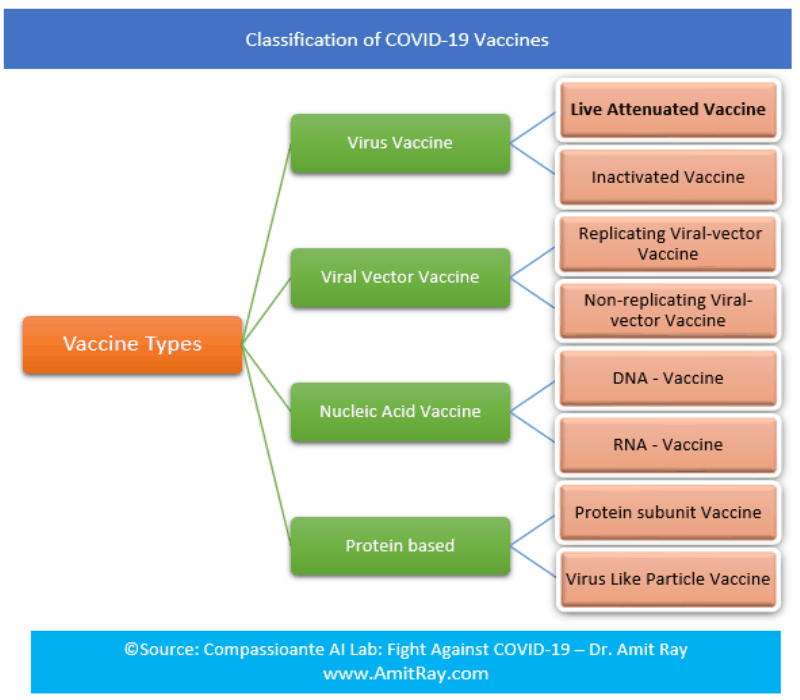 Eight Types of Vaccines to Fight Against COVID-19