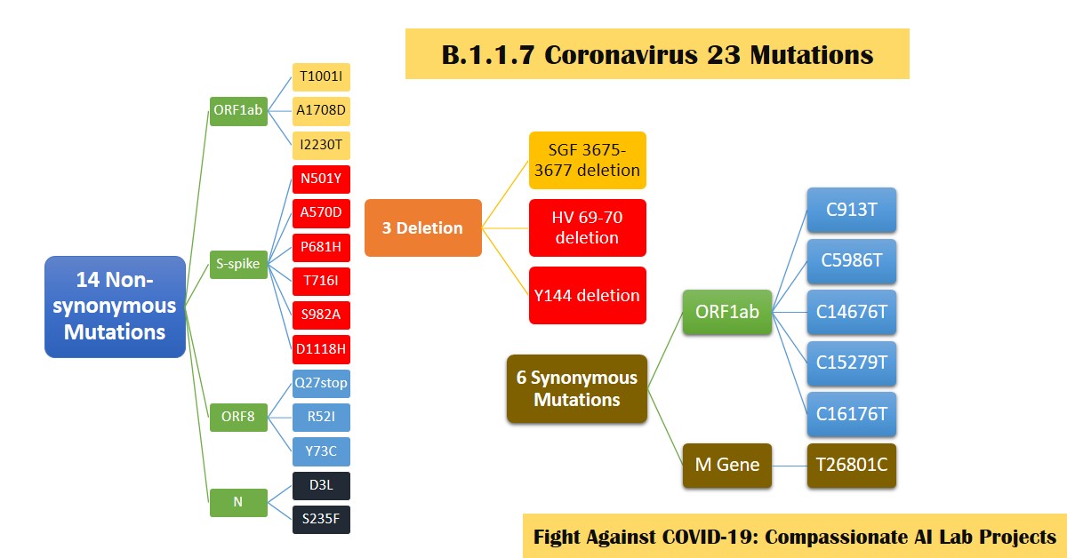 B-1-1-7-Coronavirus-23-Mutations