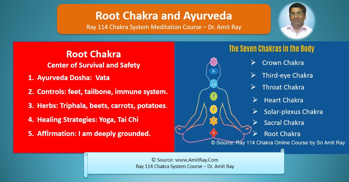 Root Chakra Herbs Ayurveda Vata Pitta Kapha 