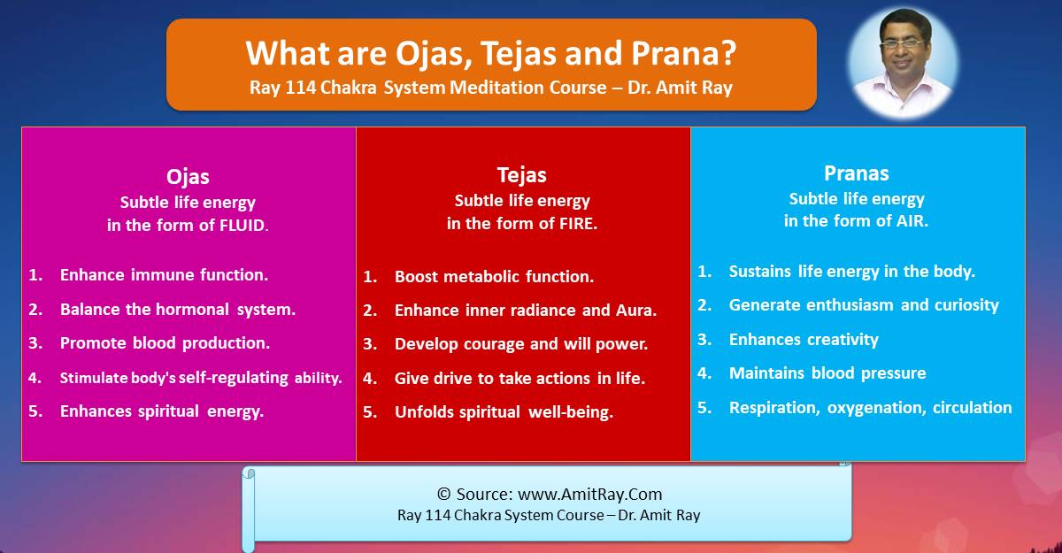 What are Ojas, Tejas and Prana