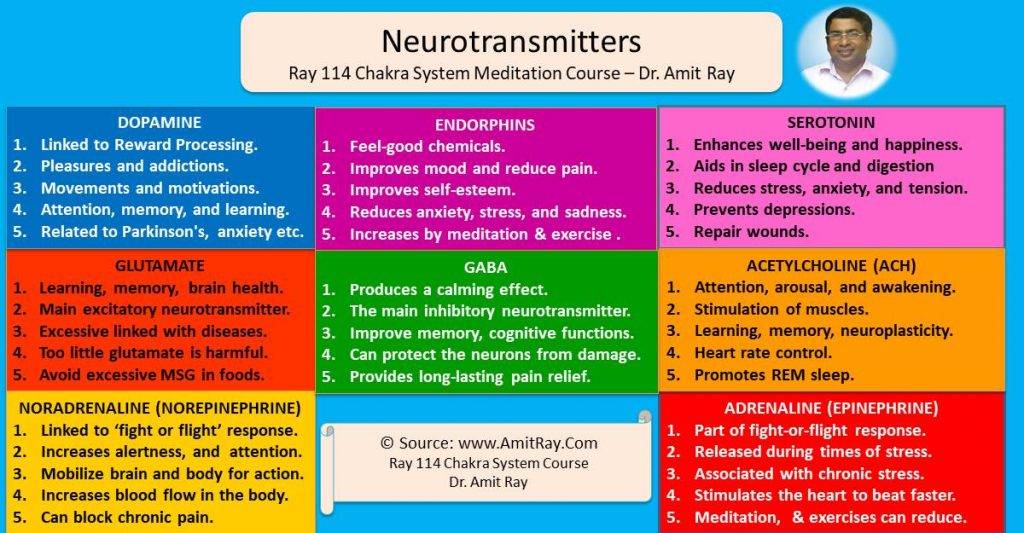 List of Important Neurotransmitters and their Functions - Sri Amit Ray