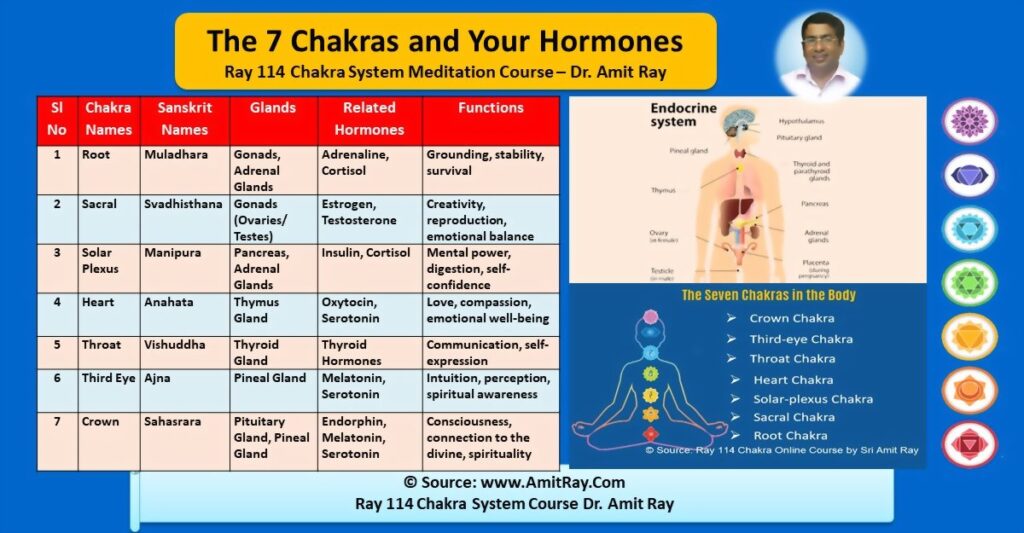 Hormones Endocrine System And Your Seven Chakras Sri Amit Ray