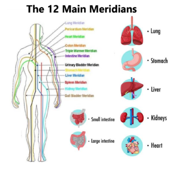 The 12 Meridians 