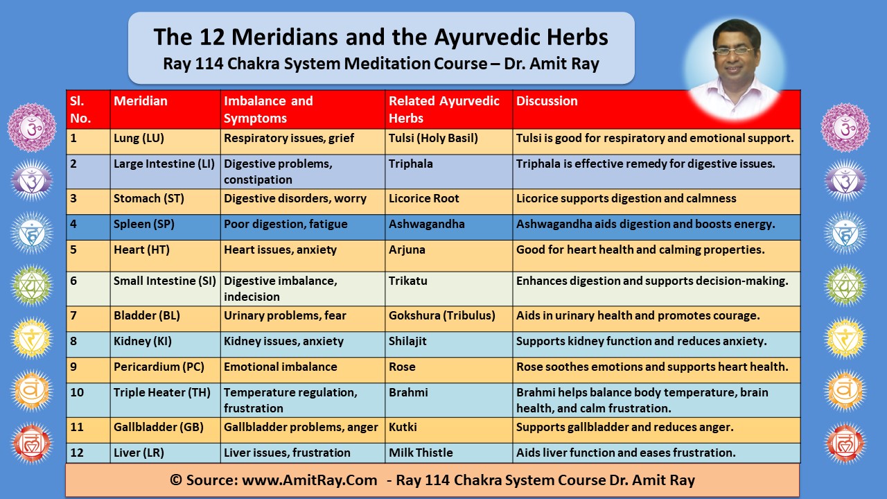 The 12 Meridians and Ayurveda Herbs