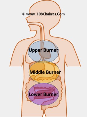 The Triple Burners in Human Body