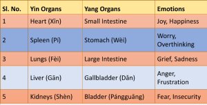 Yin and Yang Organs and your Emotions