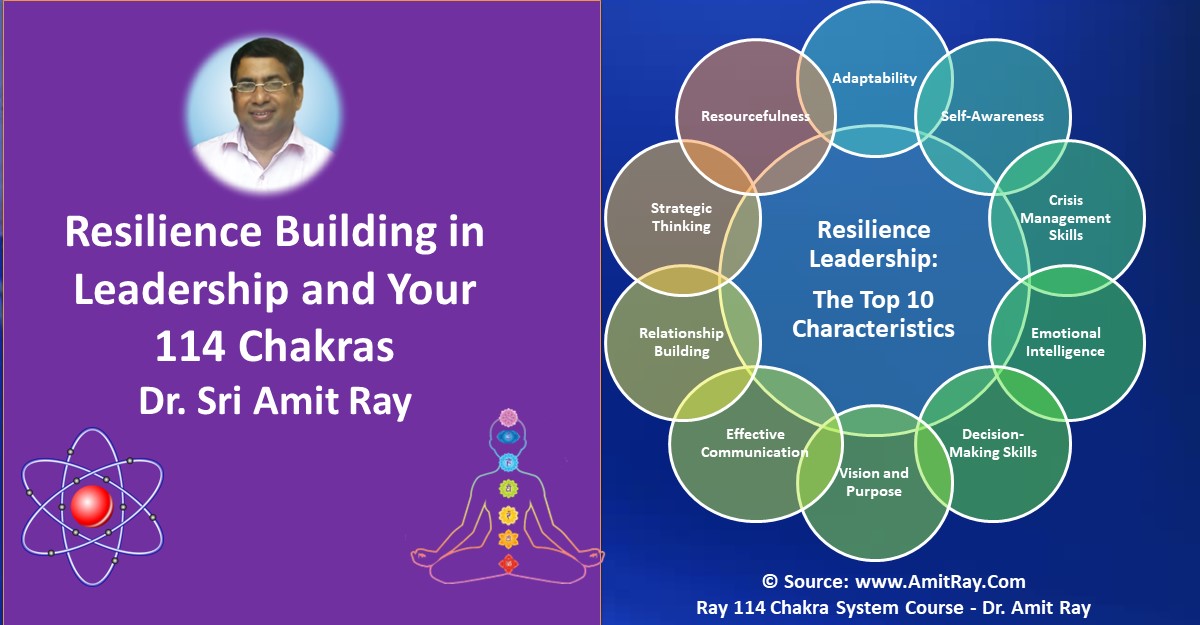 Resilience Building in Leadership and Your 114 Chakras